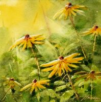 15- L'or des fleurs